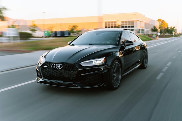 Il Generalista che Rende Ogni Disciplina Un'